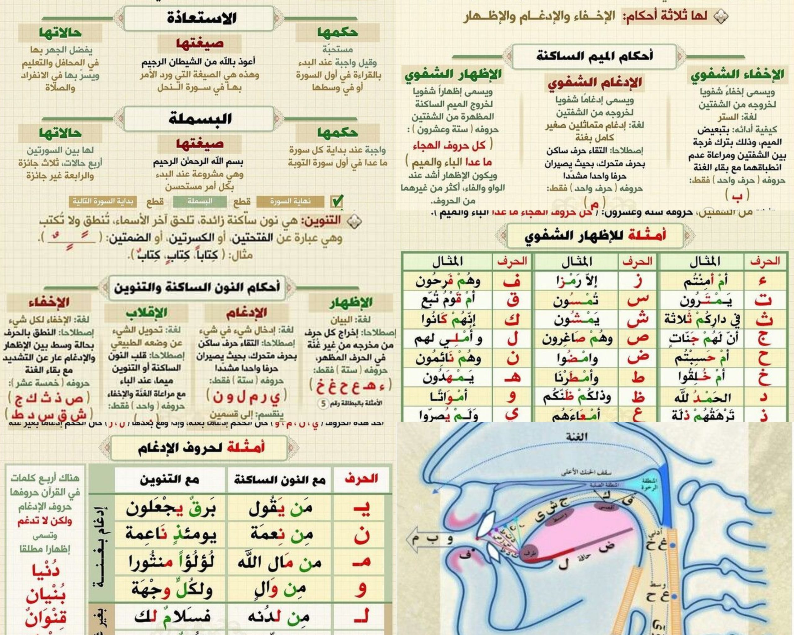 التجويد للمبتدئين :أفضل طريقة لتعلم التجويد للمبتدئين في 2026