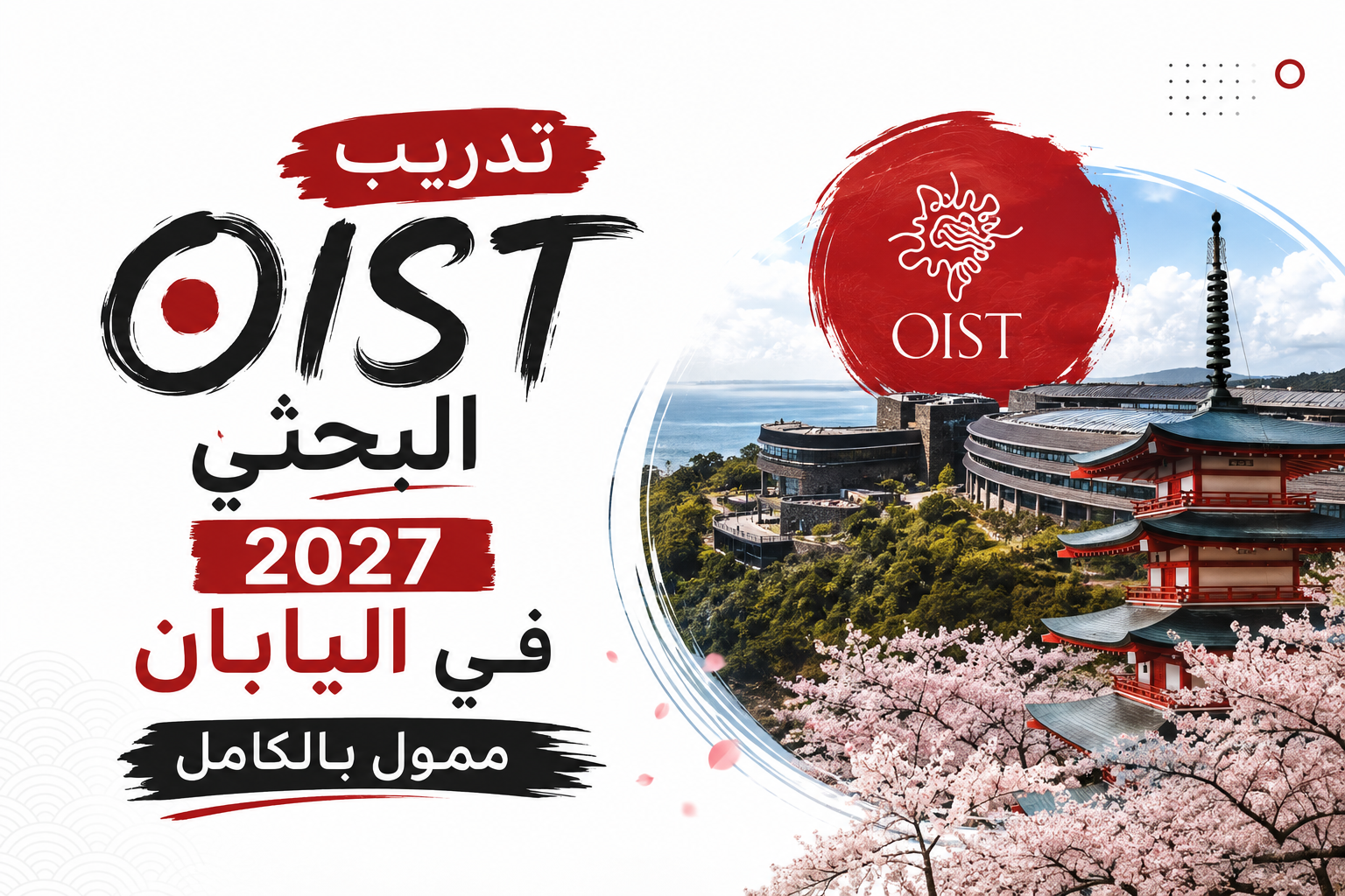 تدريب OIST البحثي 2027 في اليابان ا ممول بالكامل