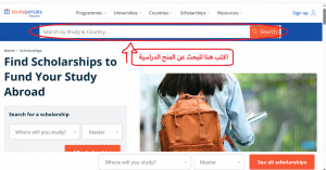 منحة دراسية مناسبة - واجهة بحث موقع ScholarshipPortal